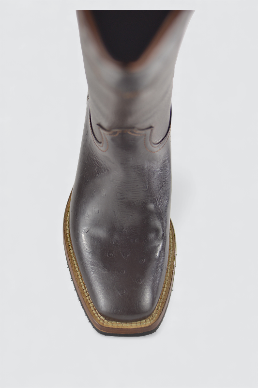 Pecos ostrich defect