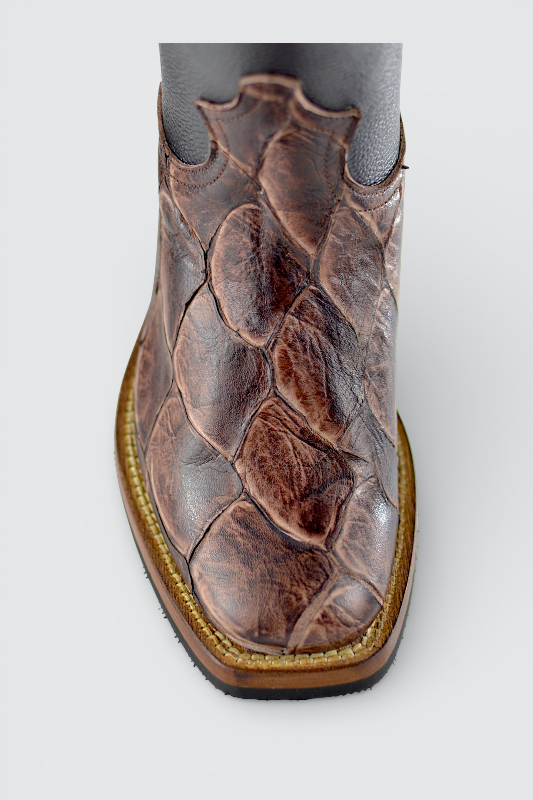 Pecos piraracu marrone