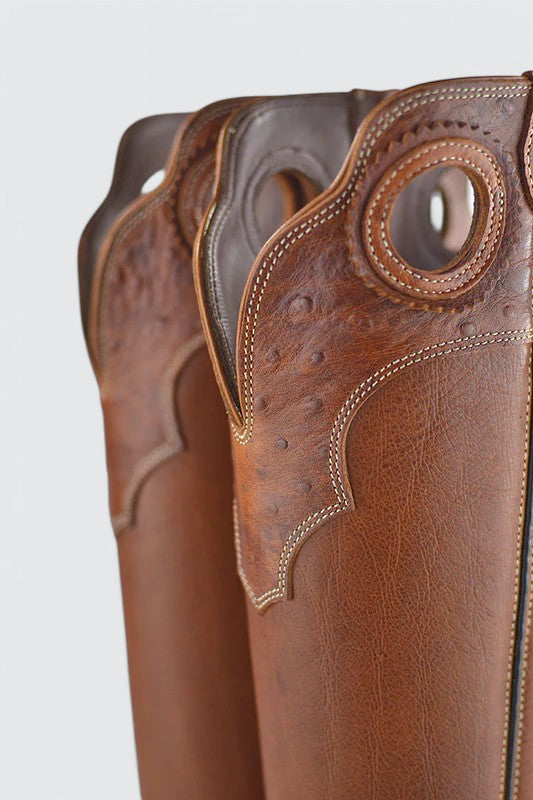 Pecos ostrich cotto